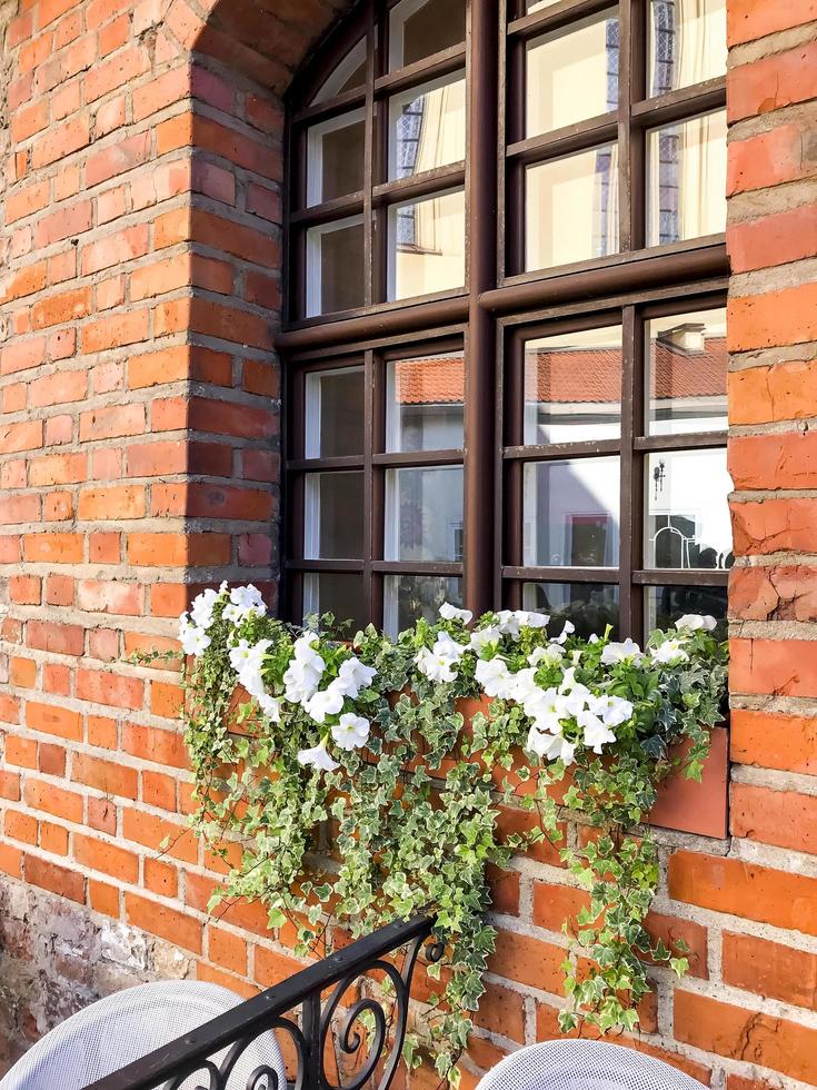 facciate e finestre di edifici decorati con fiori. foto