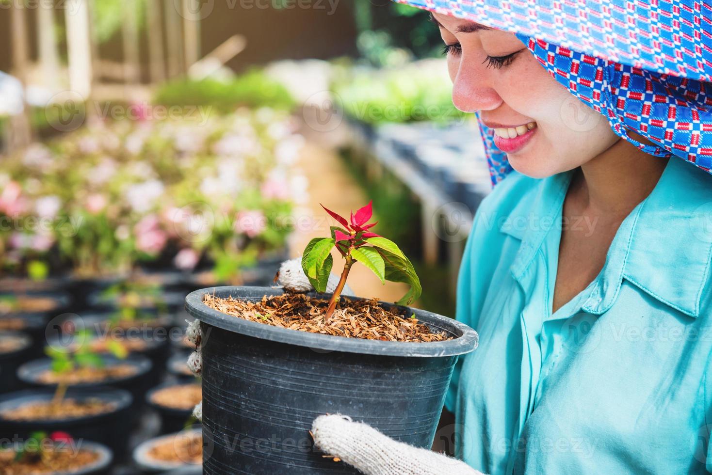 felice lavoratore donna asiatica con piantare fiori prendersi cura dei fiori in serra. foto