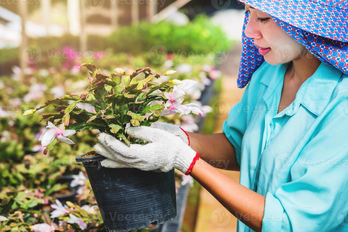 felice lavoratore donna asiatica con piantare fiori prendersi cura dei fiori in serra. foto