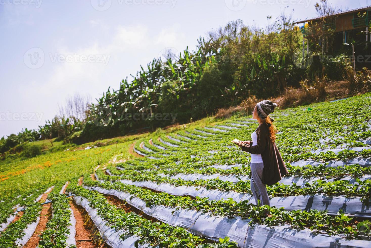 natura di viaggio donna asiatica. viaggiare rilassati. ragazza che legge un libro nell'orto. educazione alla natura scrivi una nota nella fragola del giardino. Tailandia foto