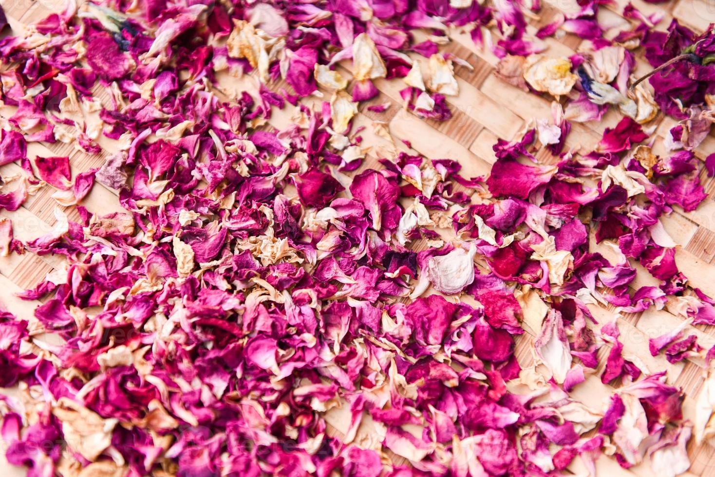 petali di rosa rosa da asciugare su fondo di legno, vista dall