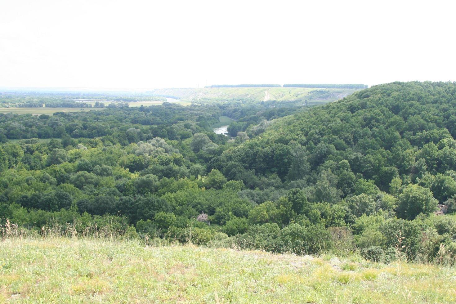 paesaggio rurale. campo e foresta foto