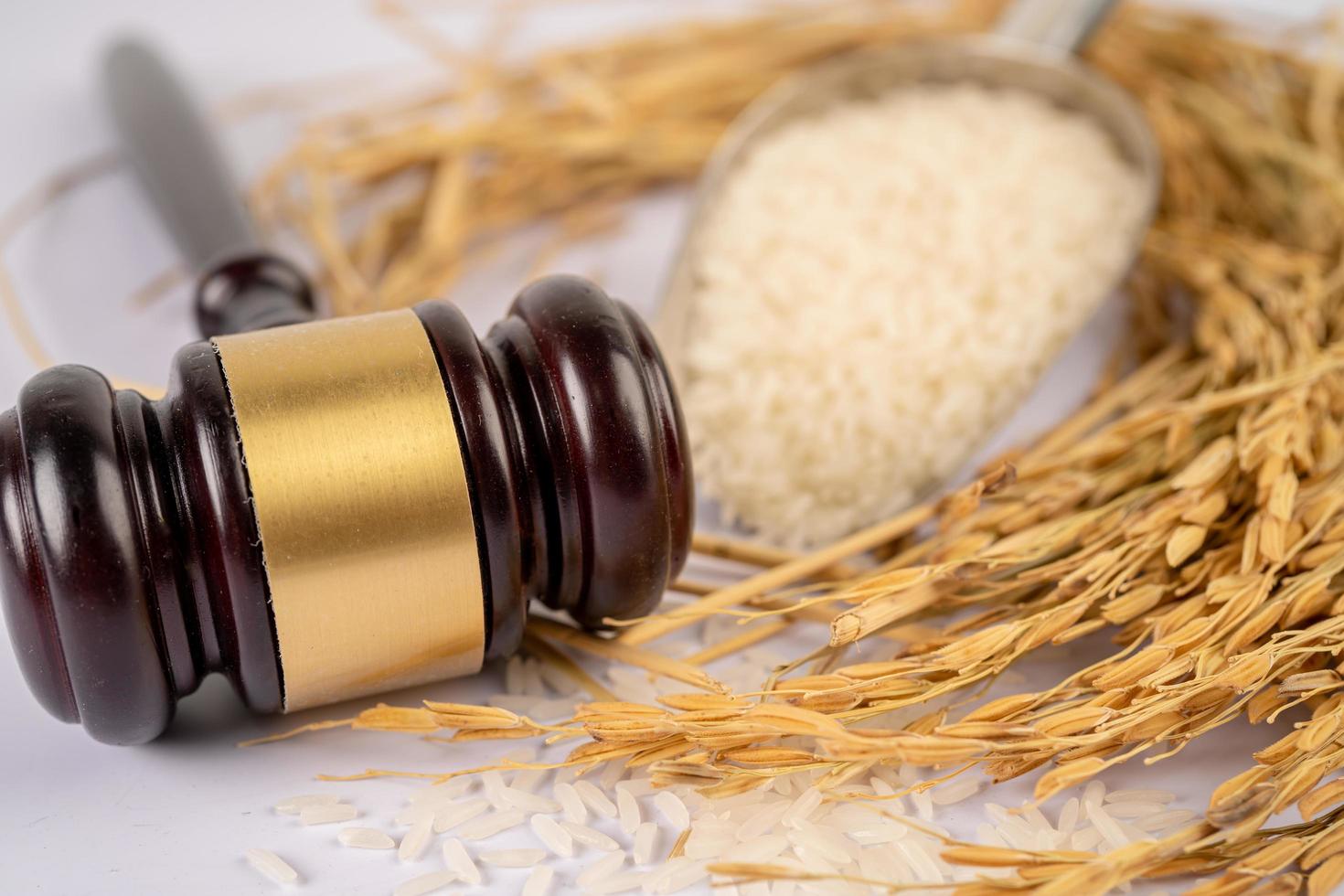 martello martelletto del giudice con un buon riso a grana da fattoria agricola concetto di tribunale di diritto e giustizia. foto
