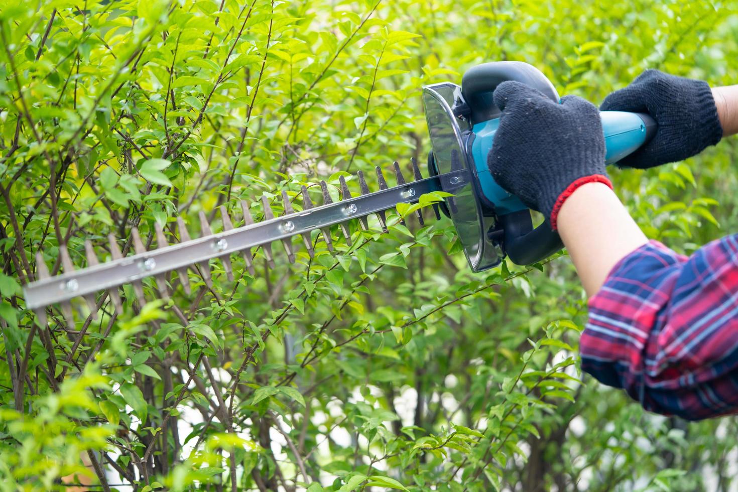 giardiniere che tiene il tagliasiepi elettrico per tagliare la cima degli alberi in giardino. foto