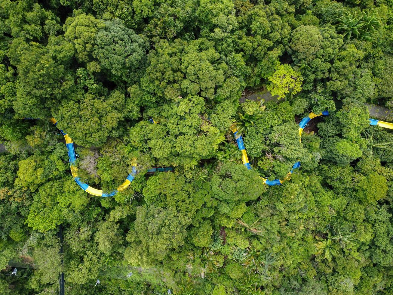 vista aerea guarda giù scivolo d'acqua nella foresta verde foto