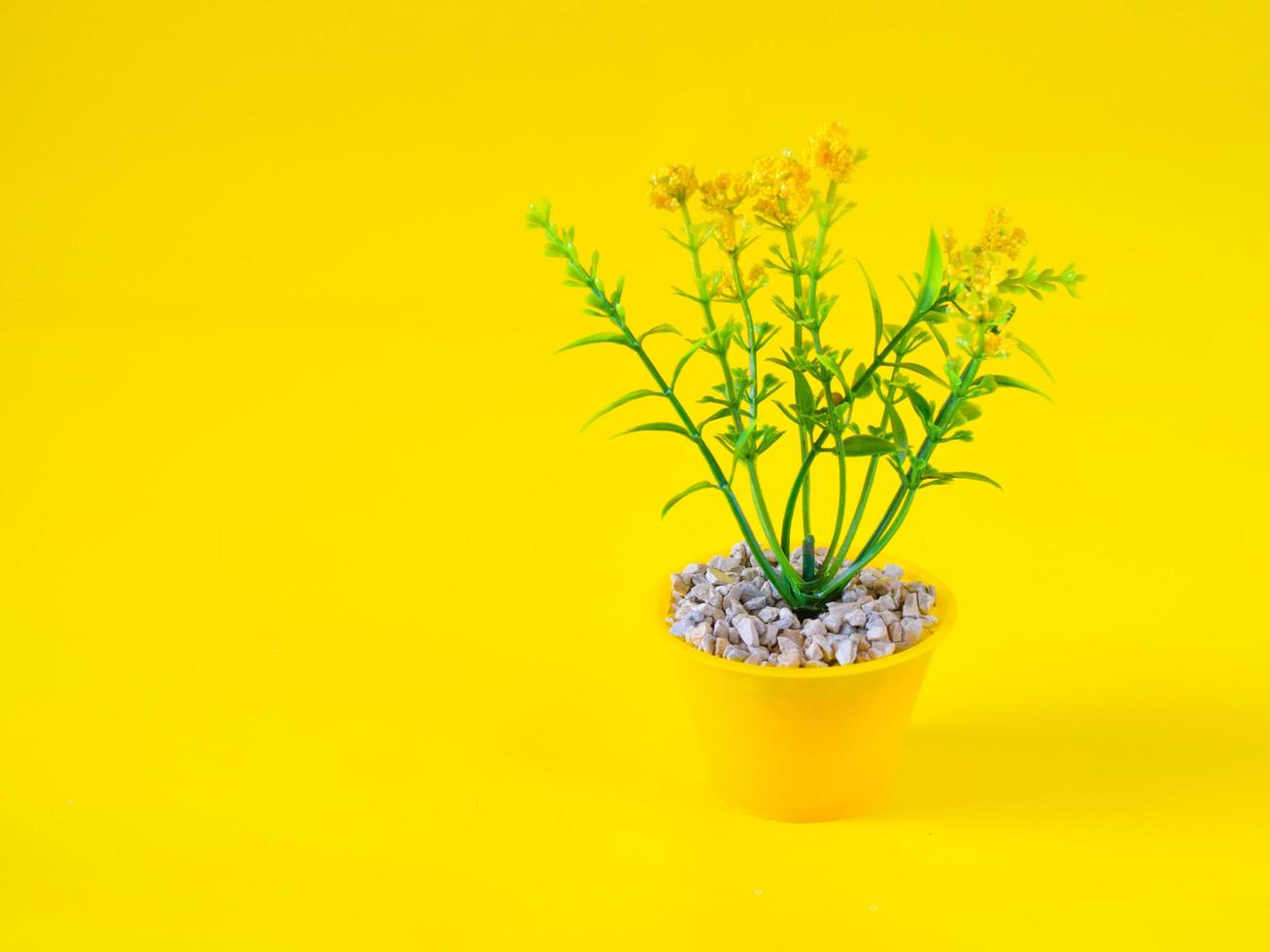 foto di fiori in un bellissimo vaso su sfondo giallo