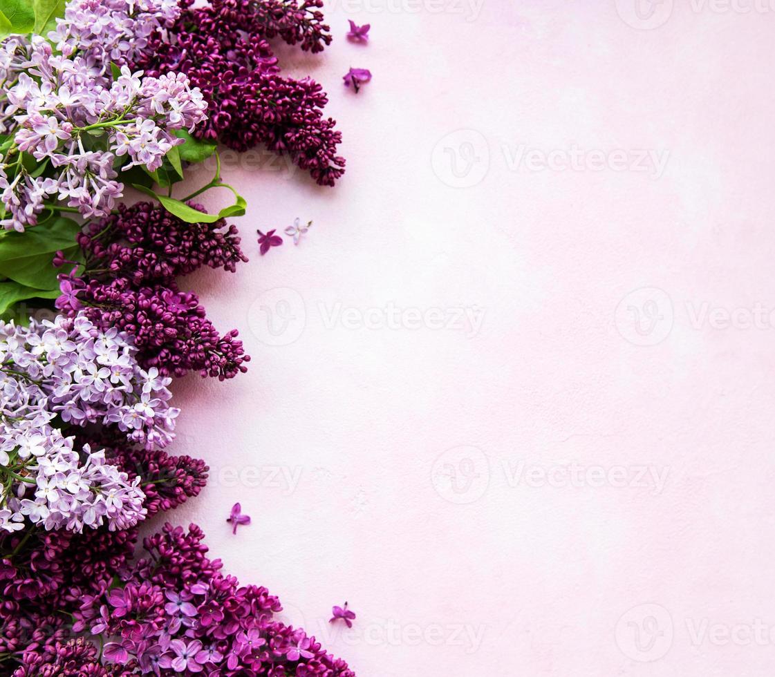 bordo di fiori primaverili lilla foto