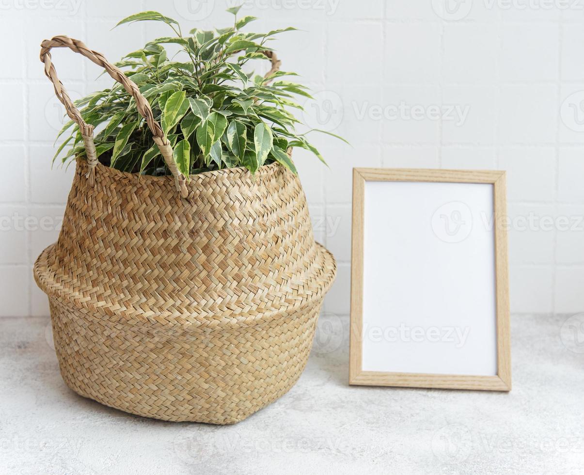 ficus benjamin e mock up poster frame foto