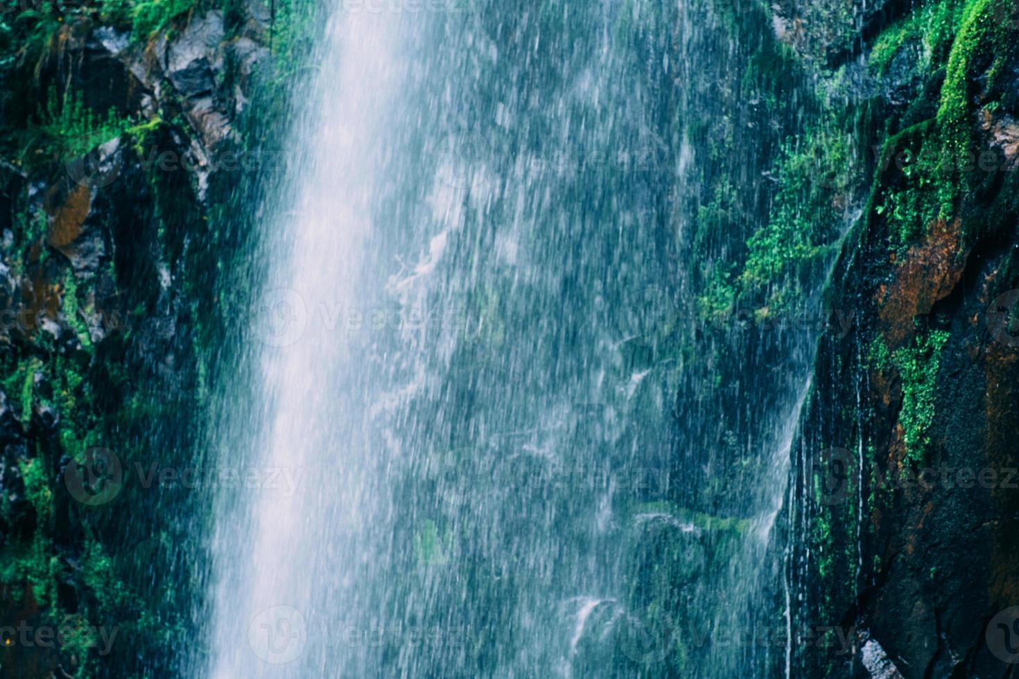 bella cascata nella foresta verde nella giungla composta da acqua foto