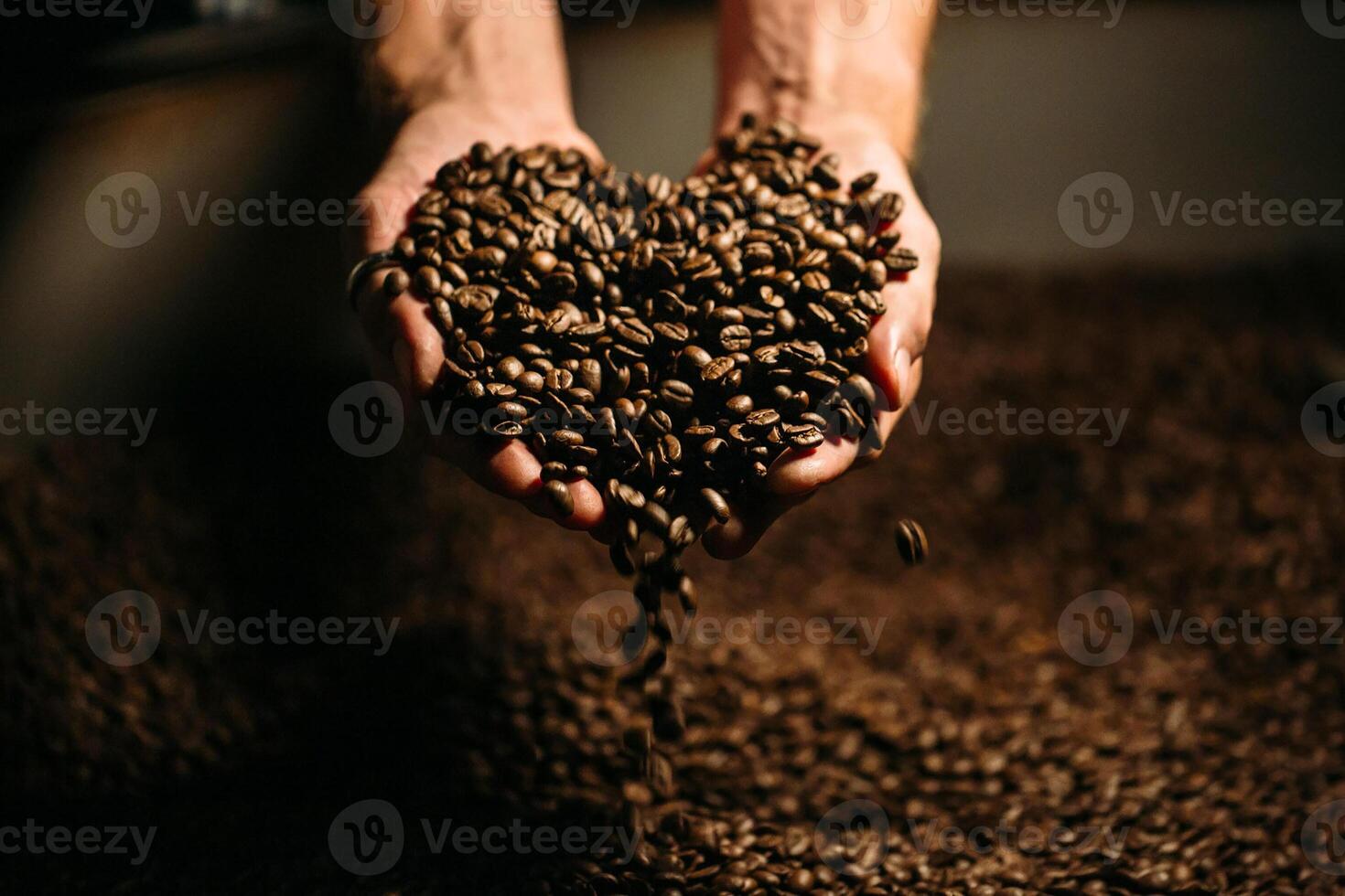 chicchi di caffè marroni tenuti da mani umane foto