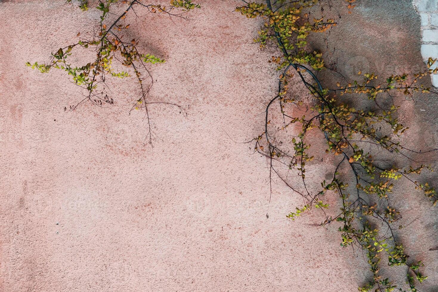 mattonelle della roccia del fondo di pietra con il materiale astratto di struttura del modello di colore verde e bianco per la carta da parati foto