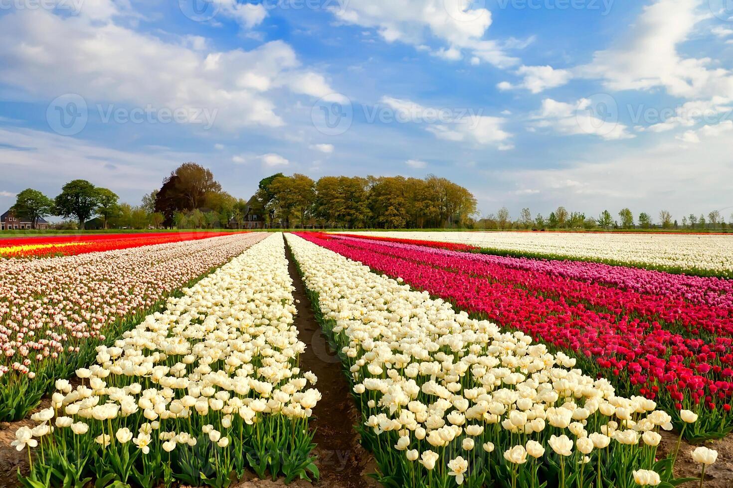 fiore tropicale bianco chiaro bellissimo bouquet con foglia verde esotica sulla natura terrestre. foto