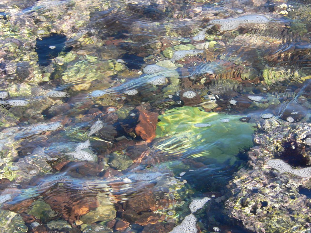 arte fisica attingendo dal fondo del mare foto