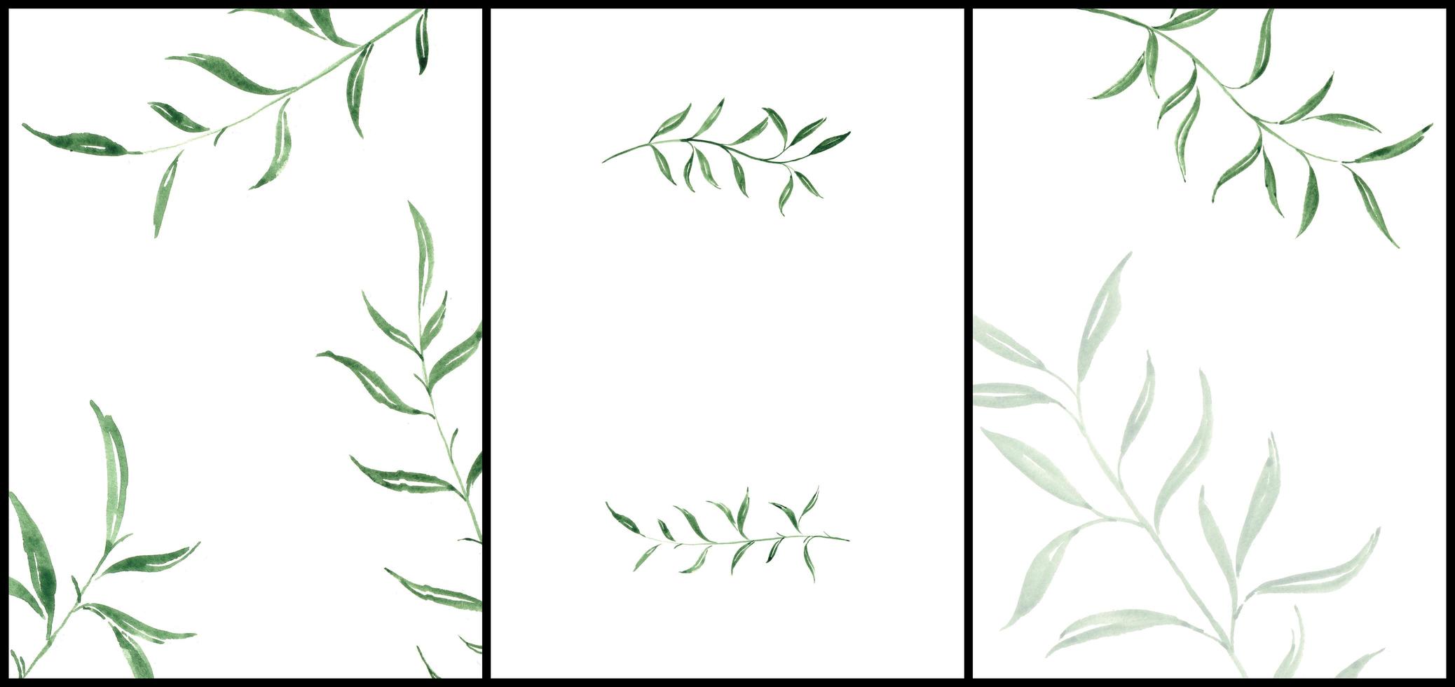 modello di matrimonio con sfondo astratto. sfondo vettoriale con foglia verde e sfondo bianco. foglia sfondo creativo con composizione foglia naturale foto