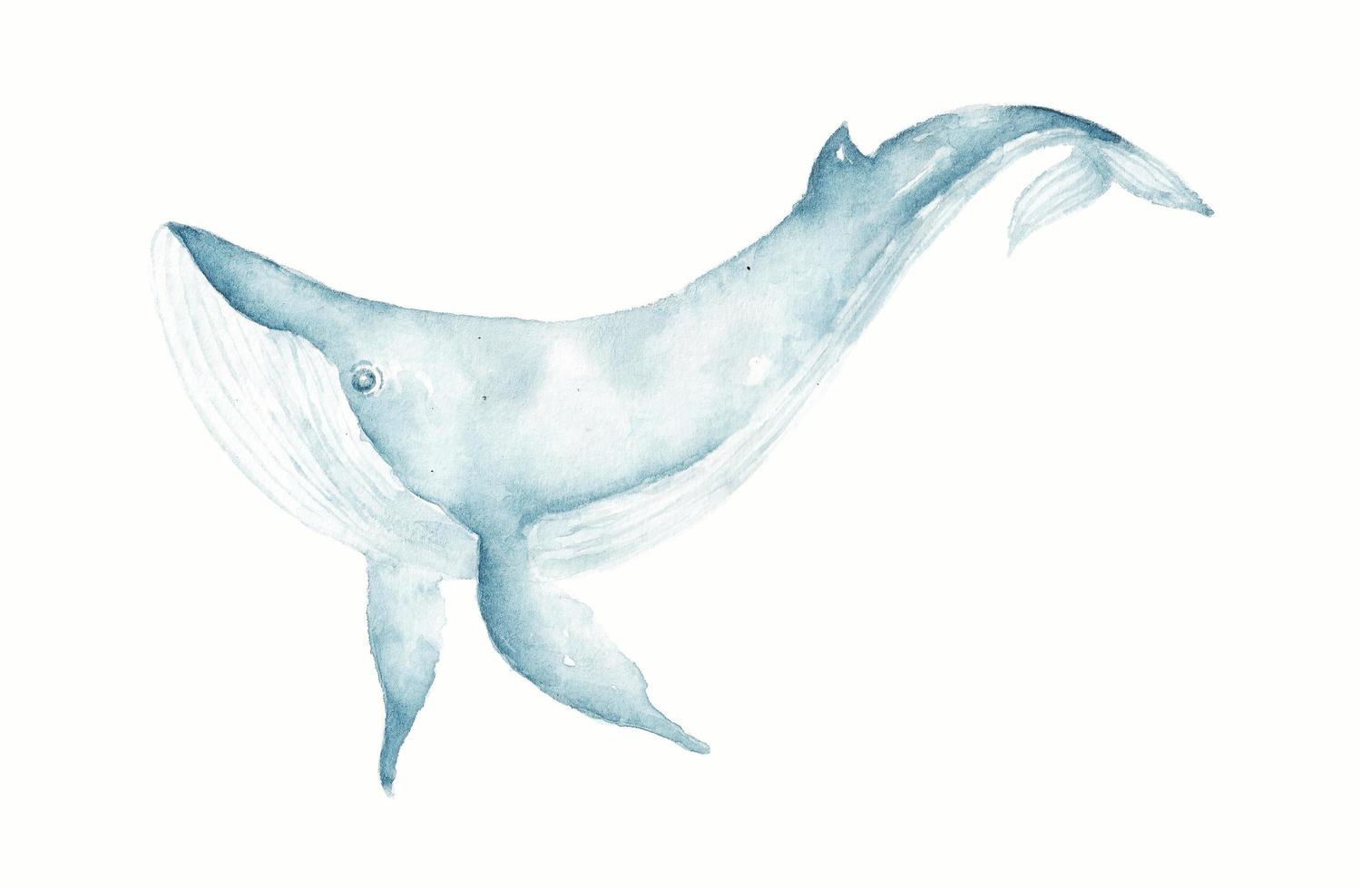 illustrazione vettoriale di balena in semplice stile cartone animato. scarabocchiare il disegno di un predatore marino per logo, simbolo, icona, ecc. foto