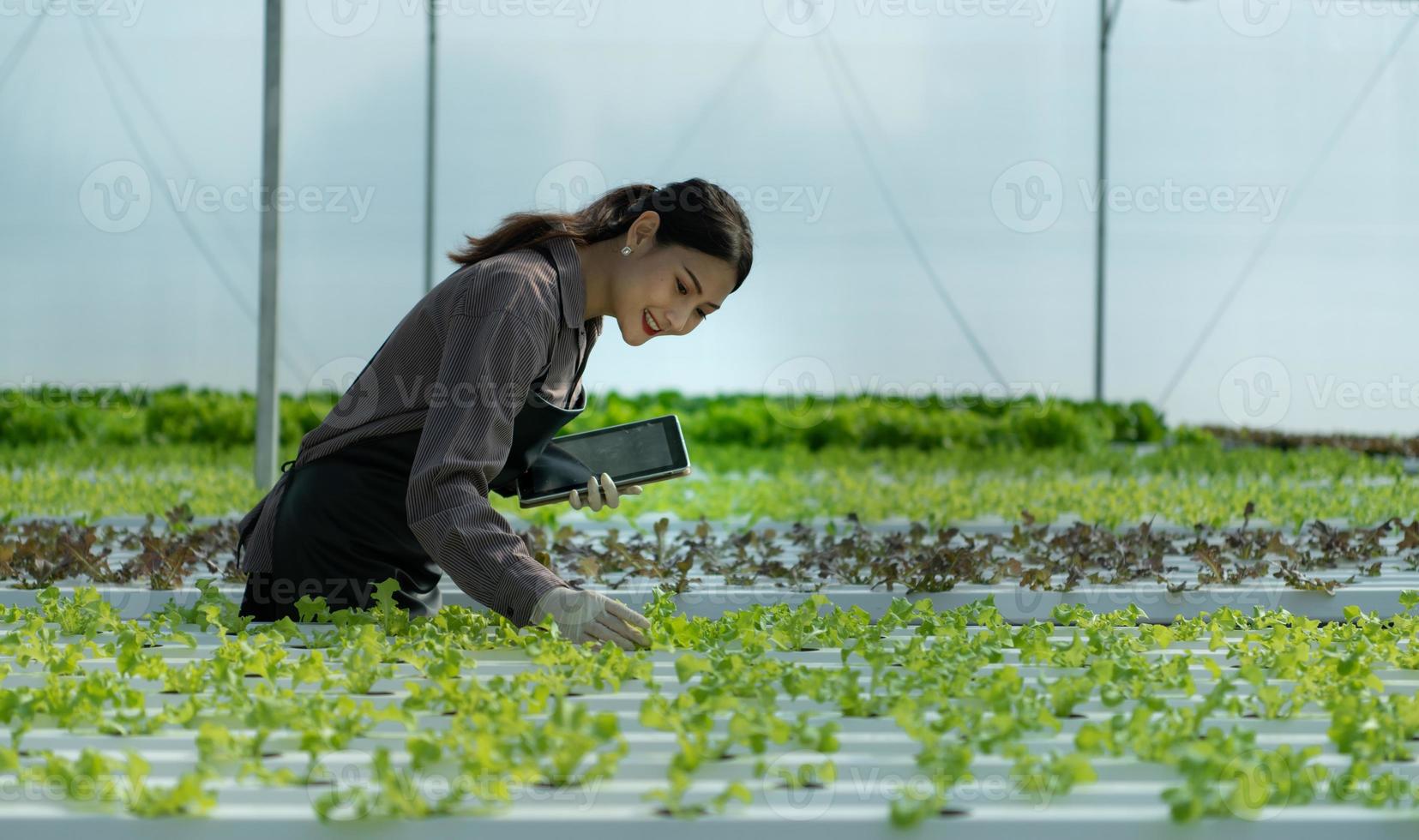 una nuova generazione di giovani donne asiatiche con attività di verdure biologiche foto