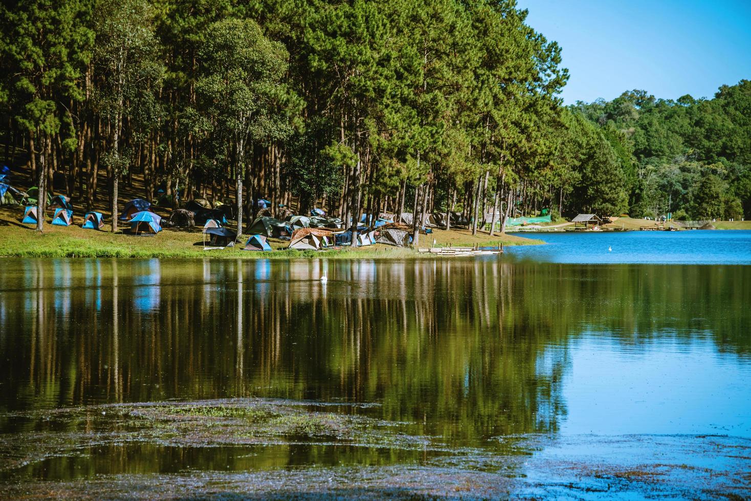 il bellissimo paesaggio naturale del lago a pang ung, mae hong son in thailandia. foto