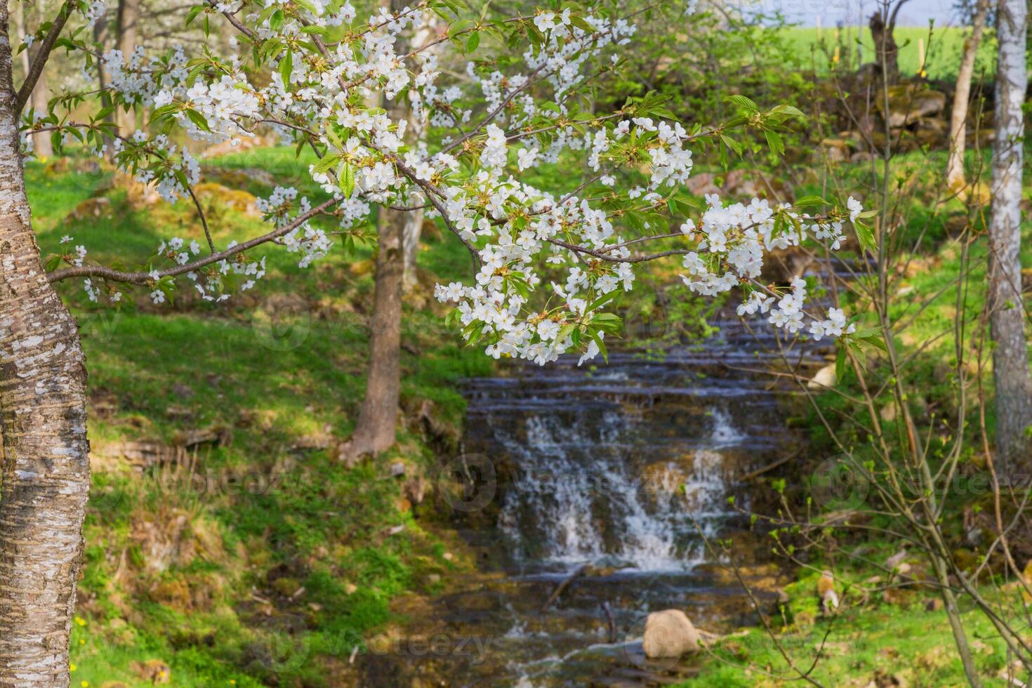 bella cascata panoramica bellissima foresta naturale verde intenso sulla natura. foto