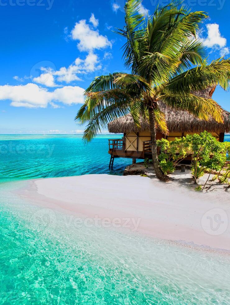 bellissima spiaggia paradisiaca tropicale con sabbia bianca e palme da cocco sul panorama del mare blu. foto