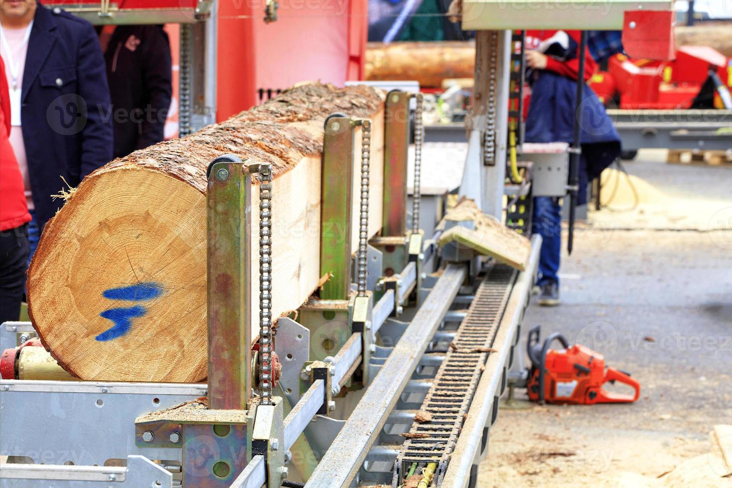 lavorazione del legno, tronchi di grandi dimensioni in una moderna segheria. foto