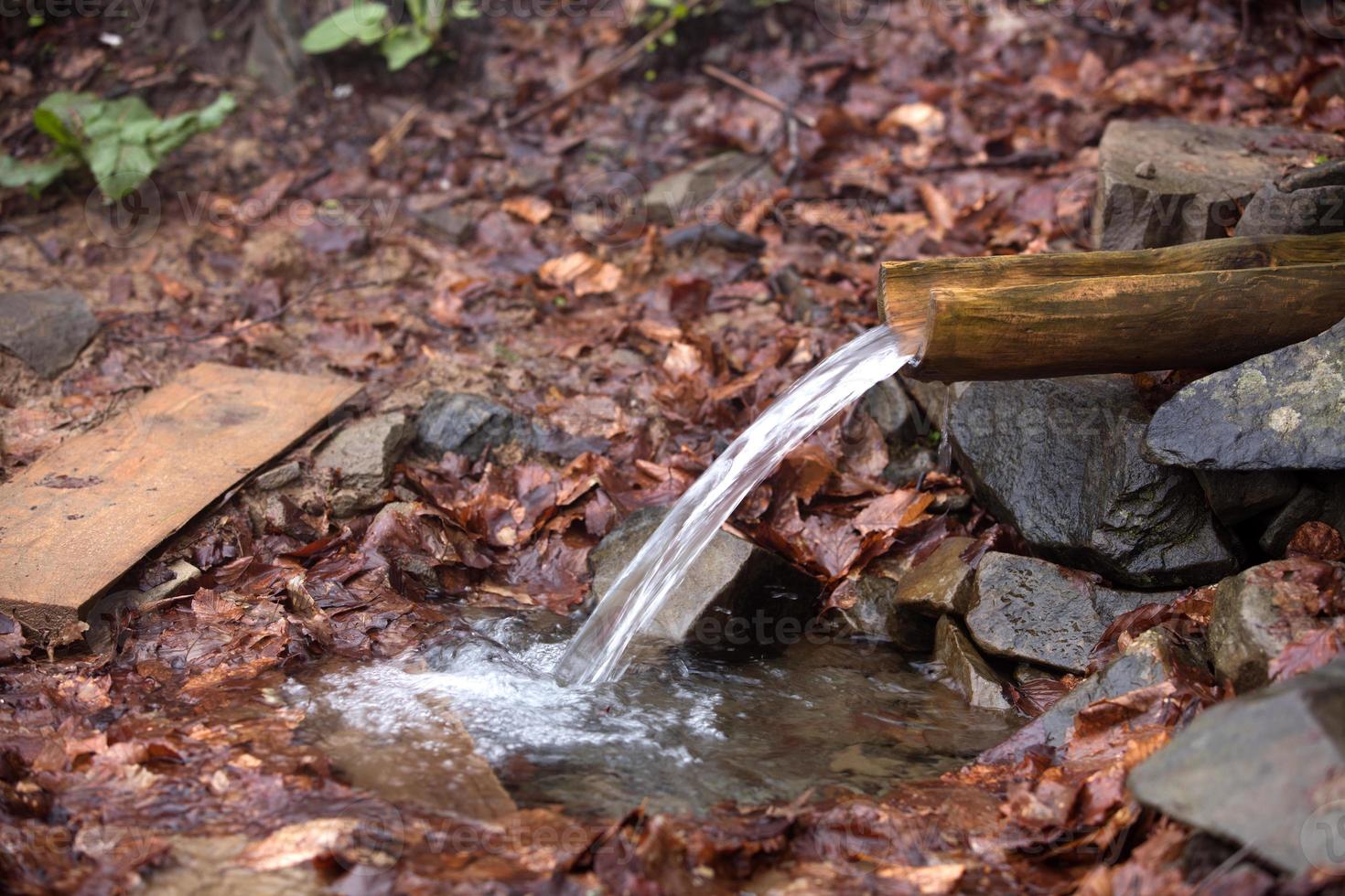 sorgente d'acqua tra sassi e foglie cadute foto