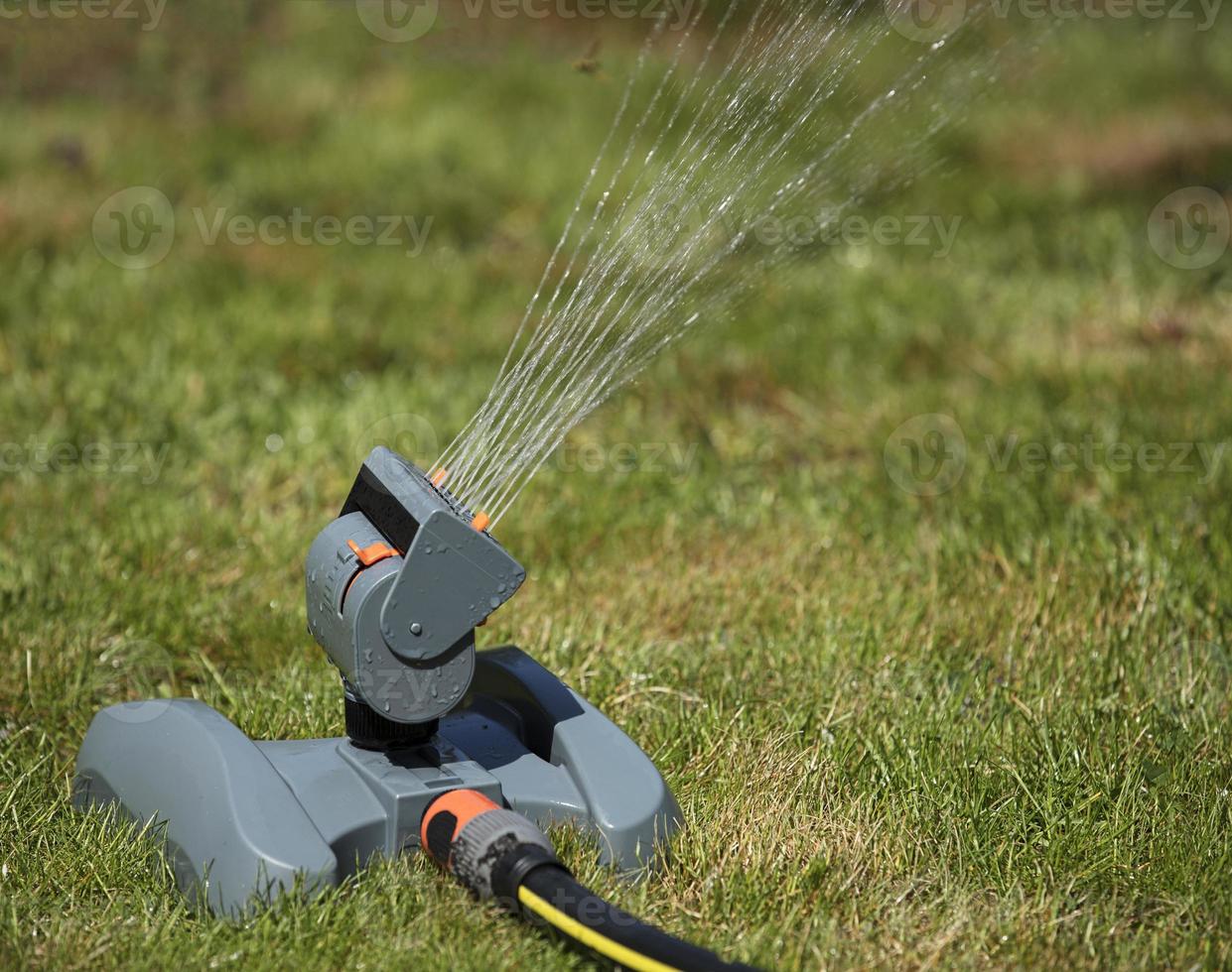 irrigatore oscillante del prato a mezzogiorno in primo piano foto