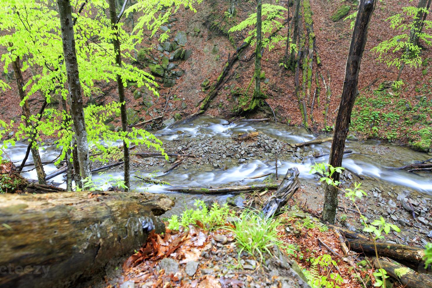il flusso del fiume di montagna tra la foresta pluviale dopo la pioggia foto