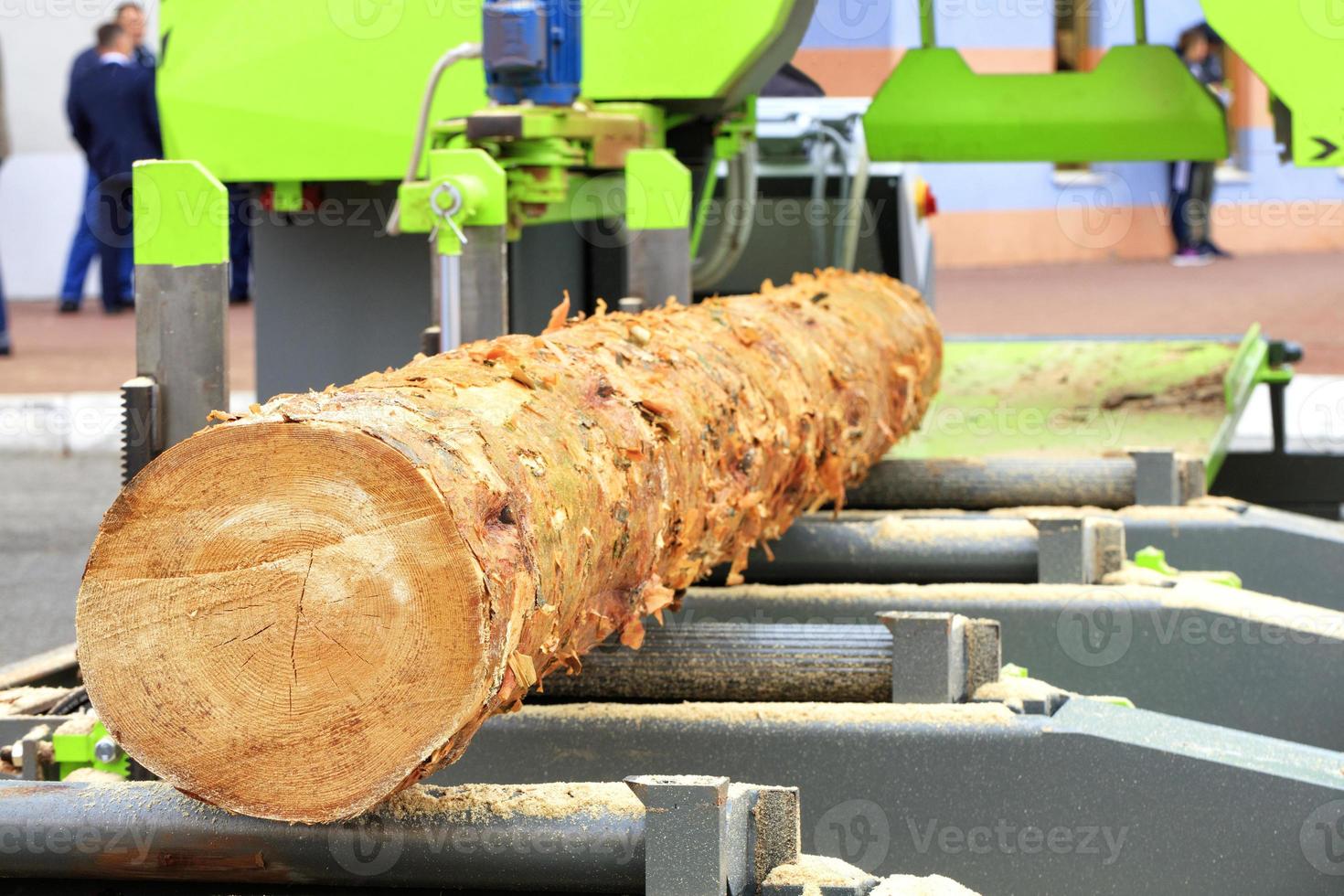 lavorazione del legno, un grosso tronco sul cavalcavia di una moderna segheria. foto