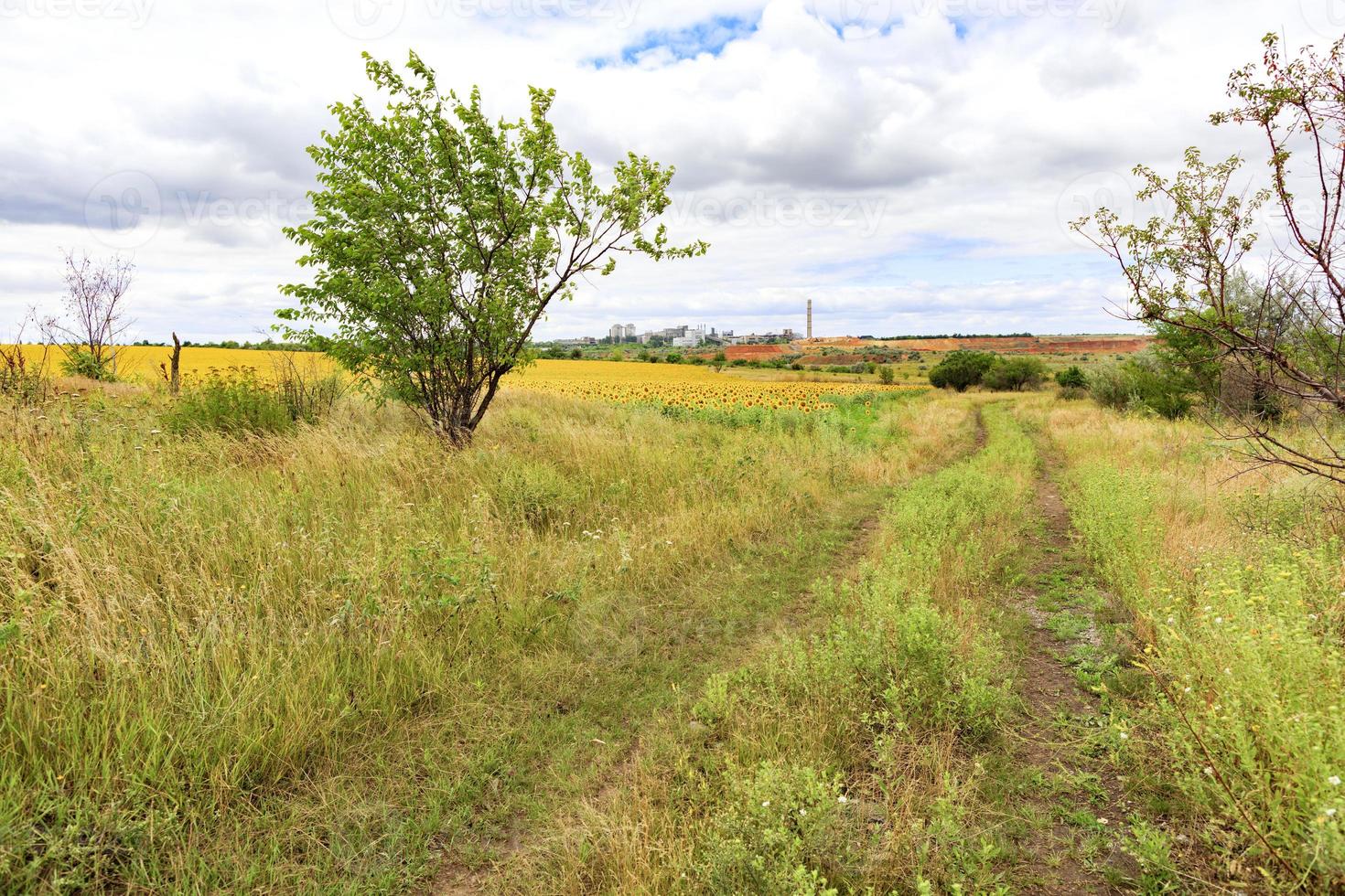 paesaggio rurale della strada vuota vicino al campo di girasoli al giorno d'estate. foto