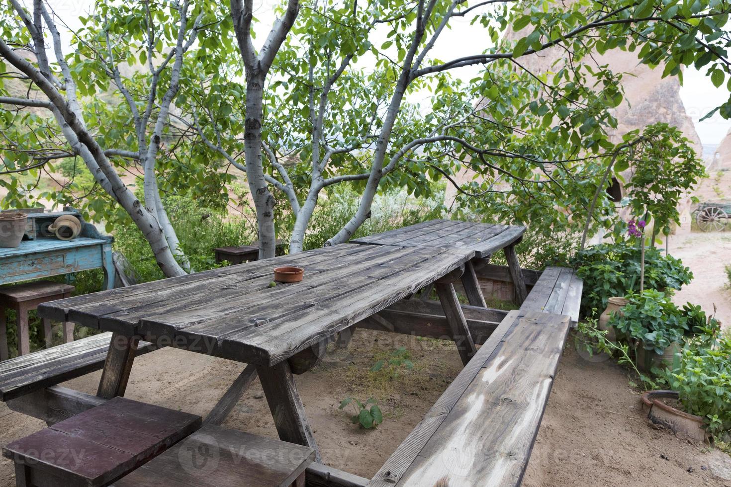 tavolo e panche in legno vecchio e stagionato nel giardino sotto l'albero foto