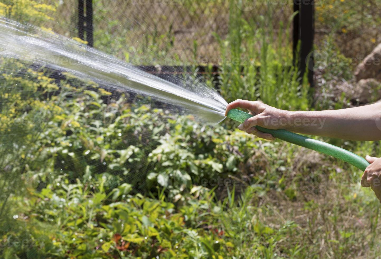 giovane che fa l'irrigazione stagionale in giardino foto