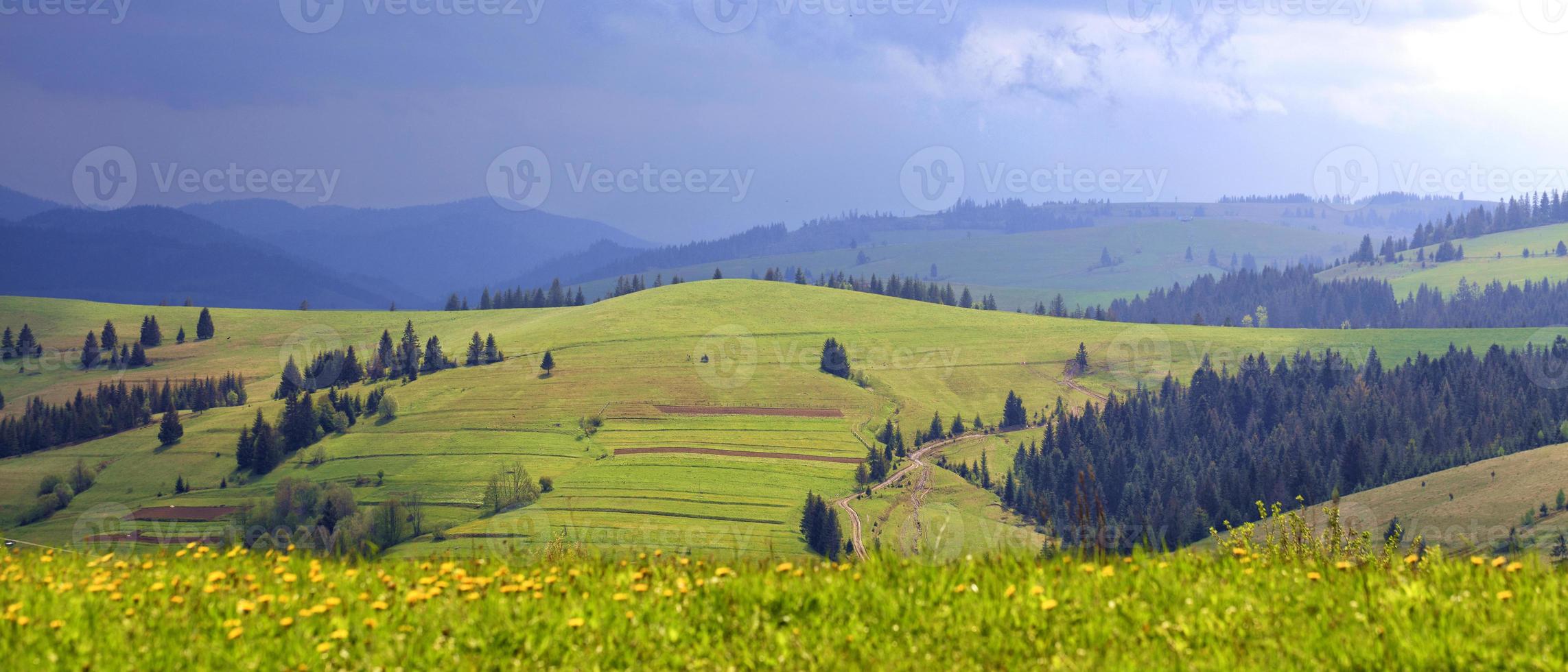 bellissimo panorama delle montagne dei Carpazi in estate la luce del sole si riversa su una verde collina erbosa che illumina la strada lungo una strada rurale sterrata foto