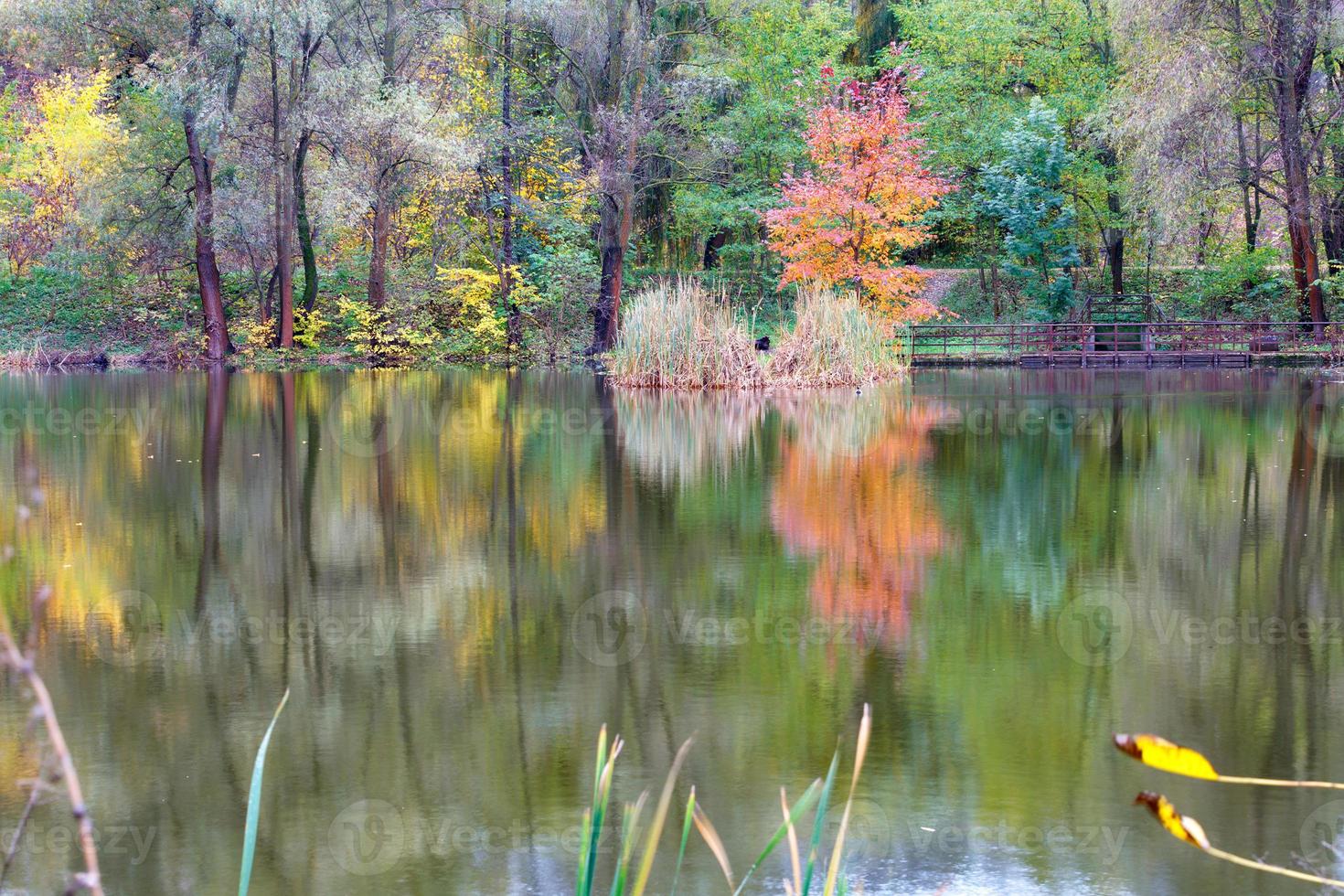 paesaggio di un lago di foresta autunnale con il riflesso di alberi colorati nell'acqua. foto