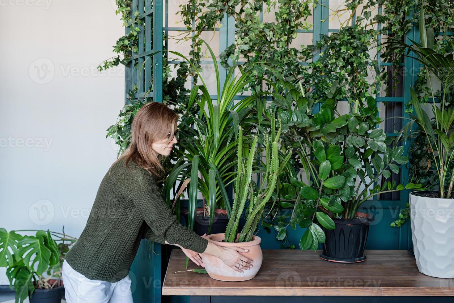 giovane donna che si prende cura delle piante a casa foto