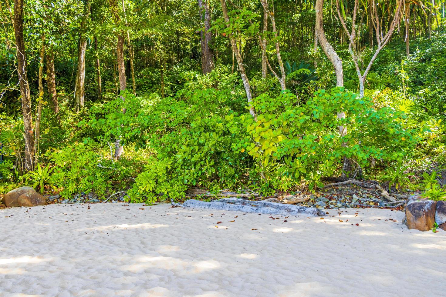 piccola spiaggia sabbiosa lamru nationalpark khao lak phang-nga thailandia. foto