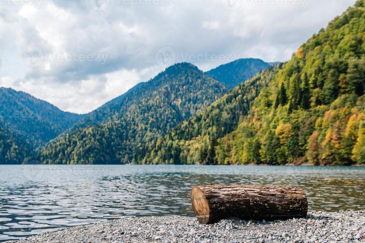 tronco di albero tagliato sul lago su uno sfondo di montagne e foreste foto