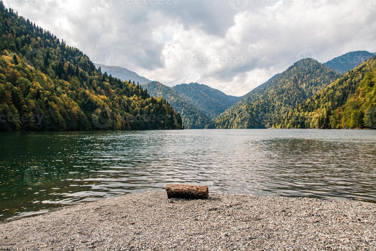 tronco di albero tagliato sul lago su uno sfondo di montagne e foreste foto