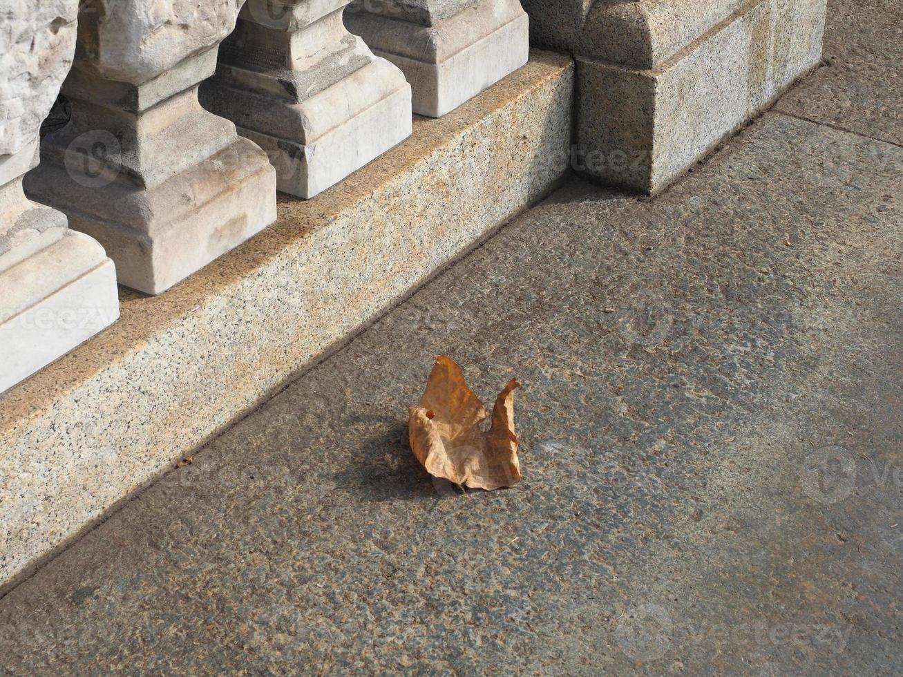 foglia caduta sul marciapiede foto