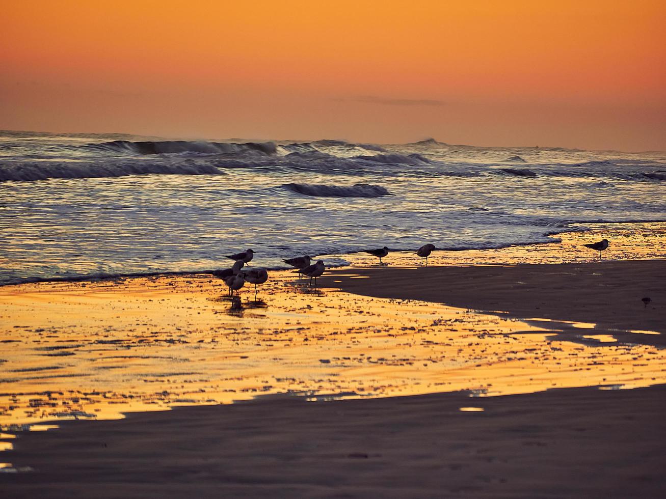 sulla spiaggia di daytonbeach. foto