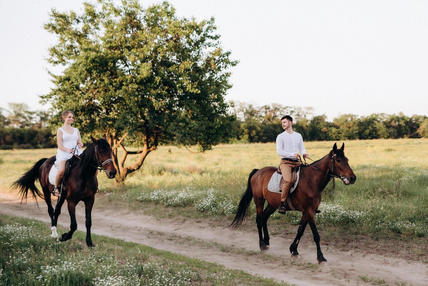 ragazza con un prendisole bianco e un ragazzo con una camicia bianca durante una passeggiata con cavalli marroni foto