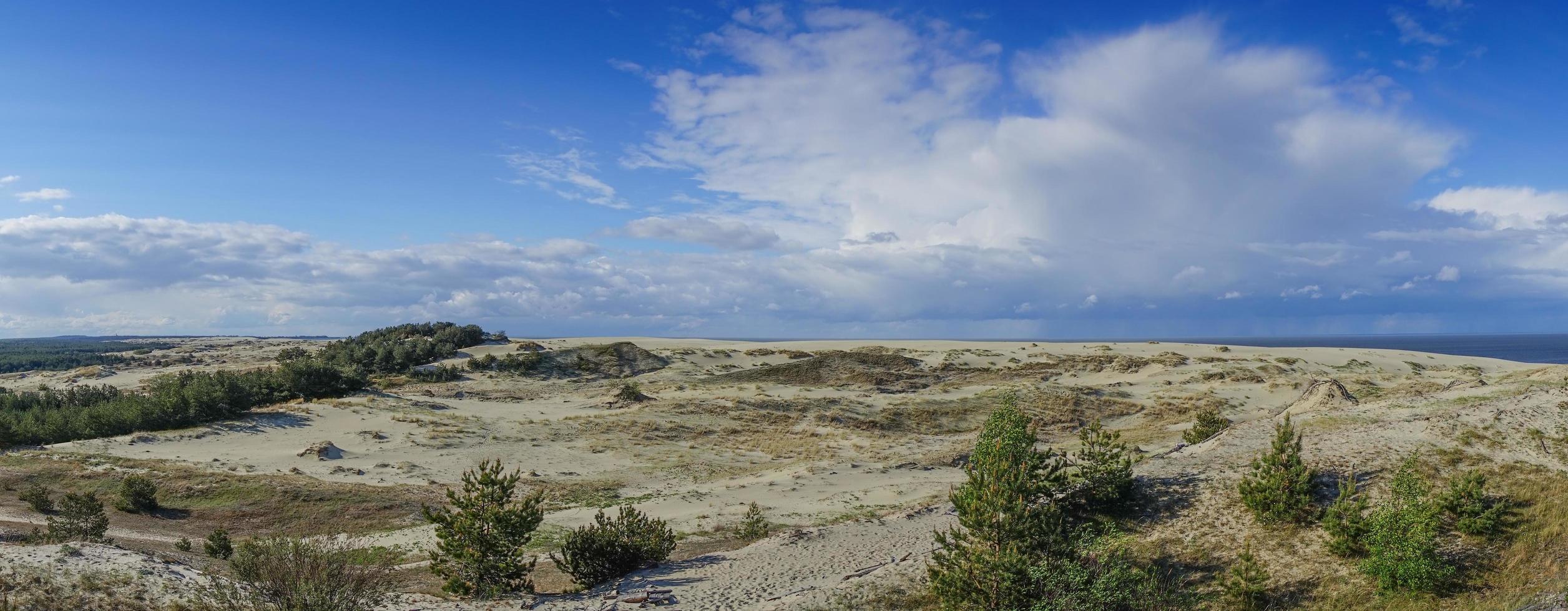 paesaggio marino del mar baltico con dune di sabbia costiera della lingua dei curoni. foto