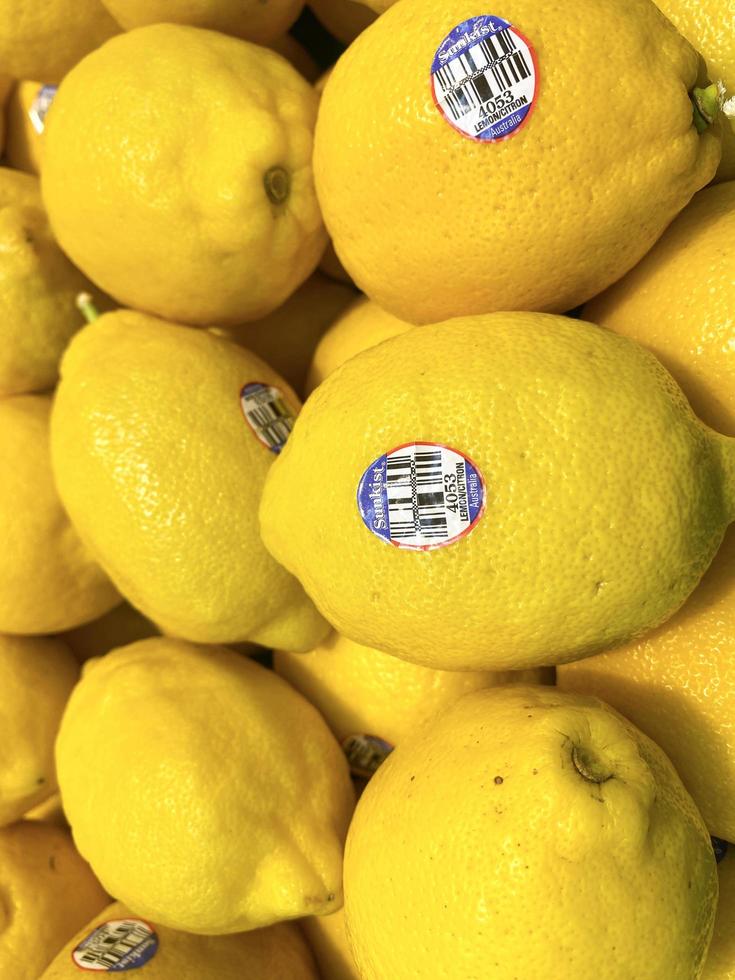composizione di limone per il design di sfondo. frutta tropicale in stile in modelli per carta da parati. foto