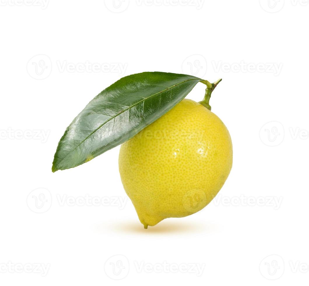 limone isolato su sfondo bianco foto