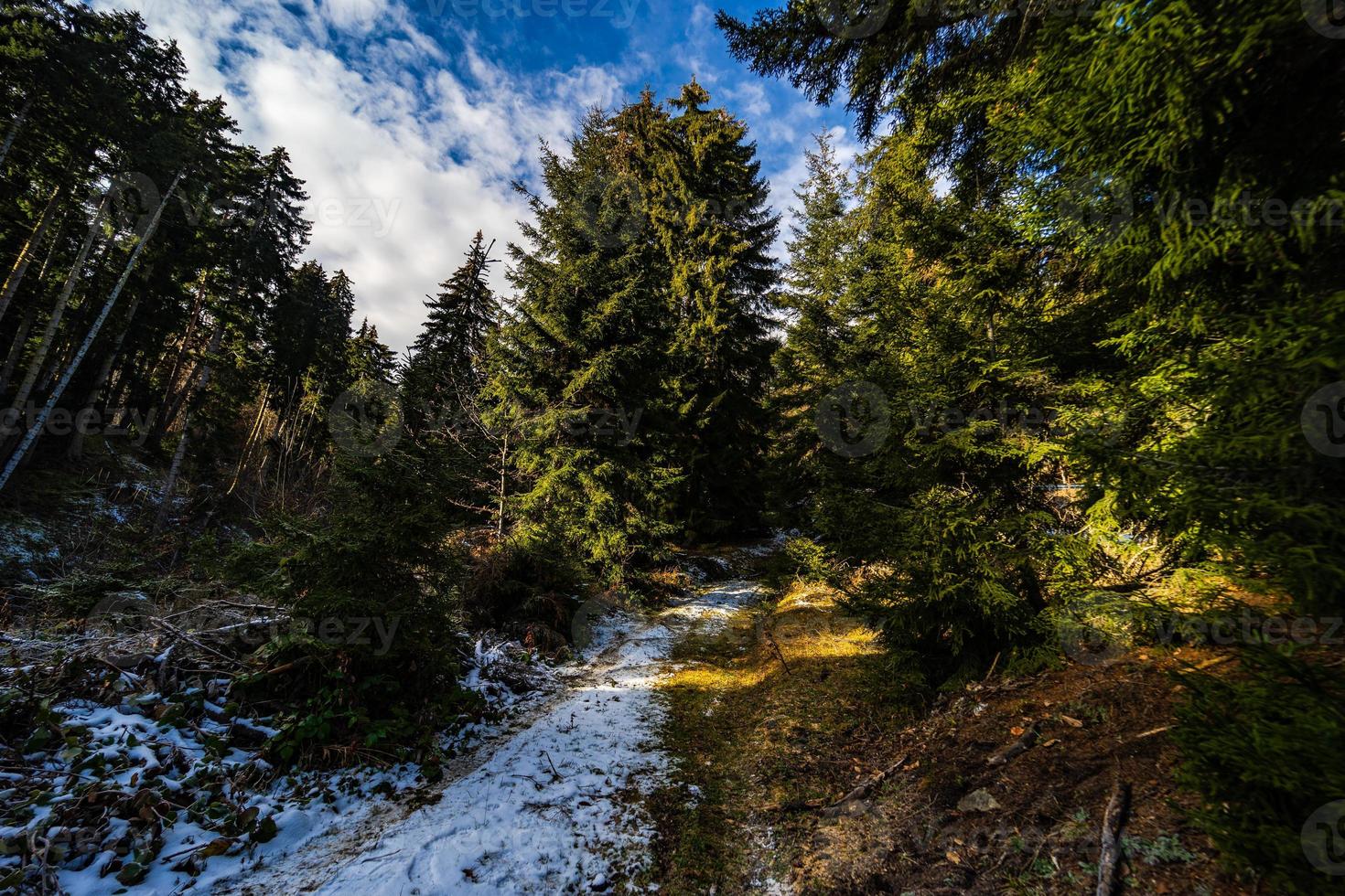 paesaggio invernale della località sciistica georgiana bakuriani foto