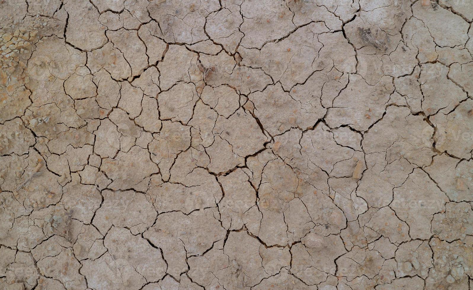 terreno incrinato a causa della siccità. la stagione secca fa seccare e screpolare il terreno foto