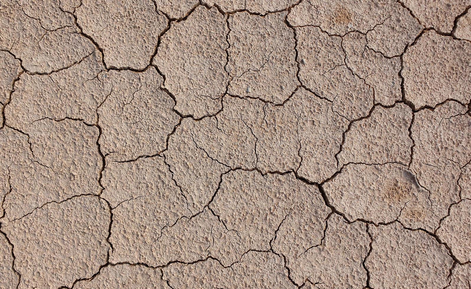 terreno incrinato a causa della siccità. la stagione secca fa seccare e screpolare il terreno foto