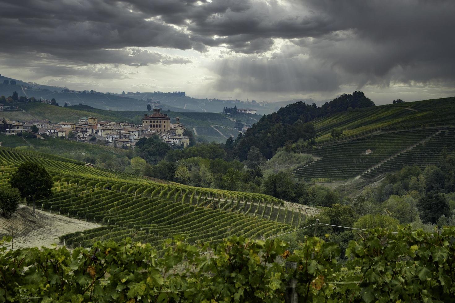 i vigneti delle langhe piemontesi in autunno foto