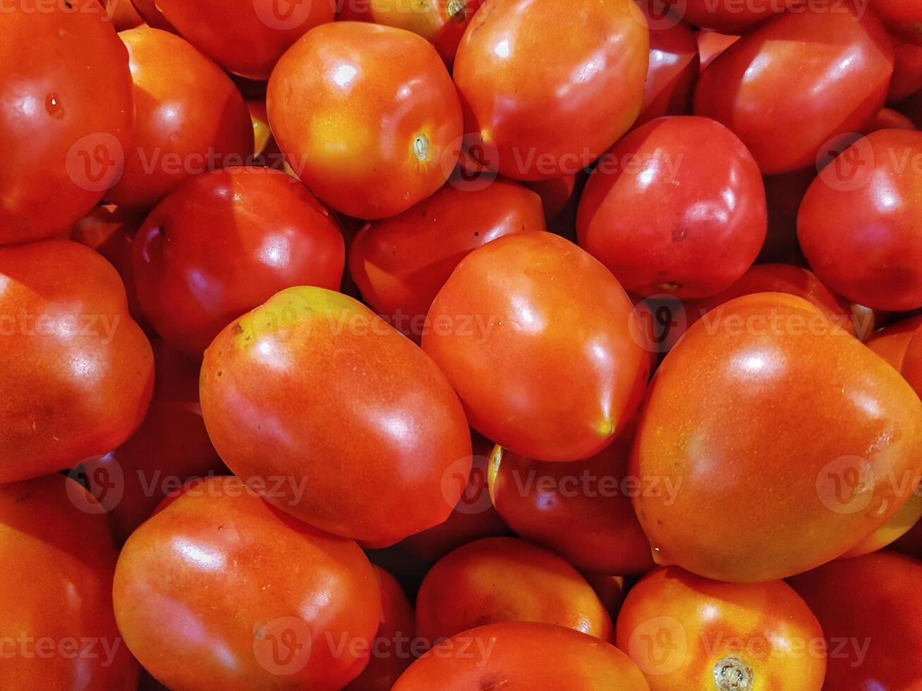 pomodoro frutta fresca e ricca di antiossidanti, vitamine e fibre su menta trendy. foto