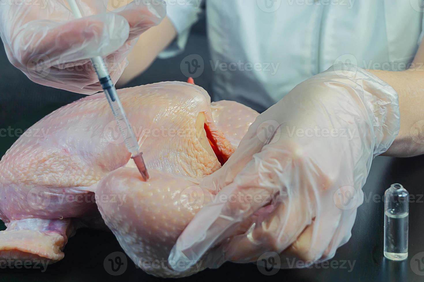 nell'iniezione di chimica del pollo, prodotti OGM foto