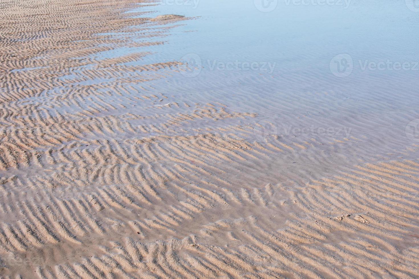 natura del seme del mare strutturato struttura della foglia verde. foglia trama sfondo sfondo della campagna all'aperto su sfondo foto